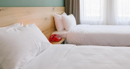 Intourist Kazbegi Room Type - Standard Double/Twin Room With Back View