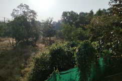 Quietude  your peaceful escape into nature