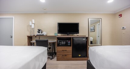 Holiday Inn Plainview-Long Island, an IHG hotel Room Type - 1 King Standard