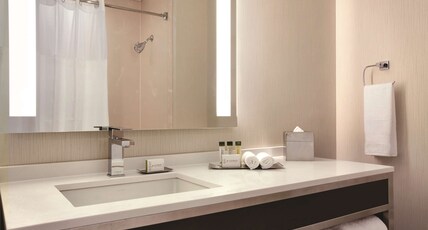 DoubleTree by Hilton Boston - Downtown Room Type - One King Bed