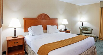 Holiday Inn Express Hotel & Suites Sylacauga Room Type - 1 King Standard