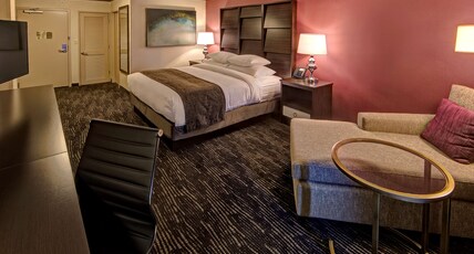 DoubleTree by Hilton Hotel Decatur Riverfront Room Type - 1 KG MOB ACC W BATHTUB