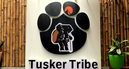 Tusker Tribe Mysore Room Type - 6 Bed Dorm Age Limit 18 years - 40 years