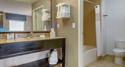 HAMPTON INN ALAMOSA CO Room Type - 2 QN STUDIO STE NONSMOKING
