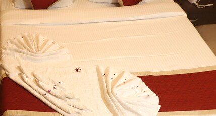 The DABS Khumbhalgarh Room Type - Tiger suite