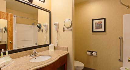 Holiday Inn Express TEMECULA Room Type - 1 King Bed Standard Sofa Bed