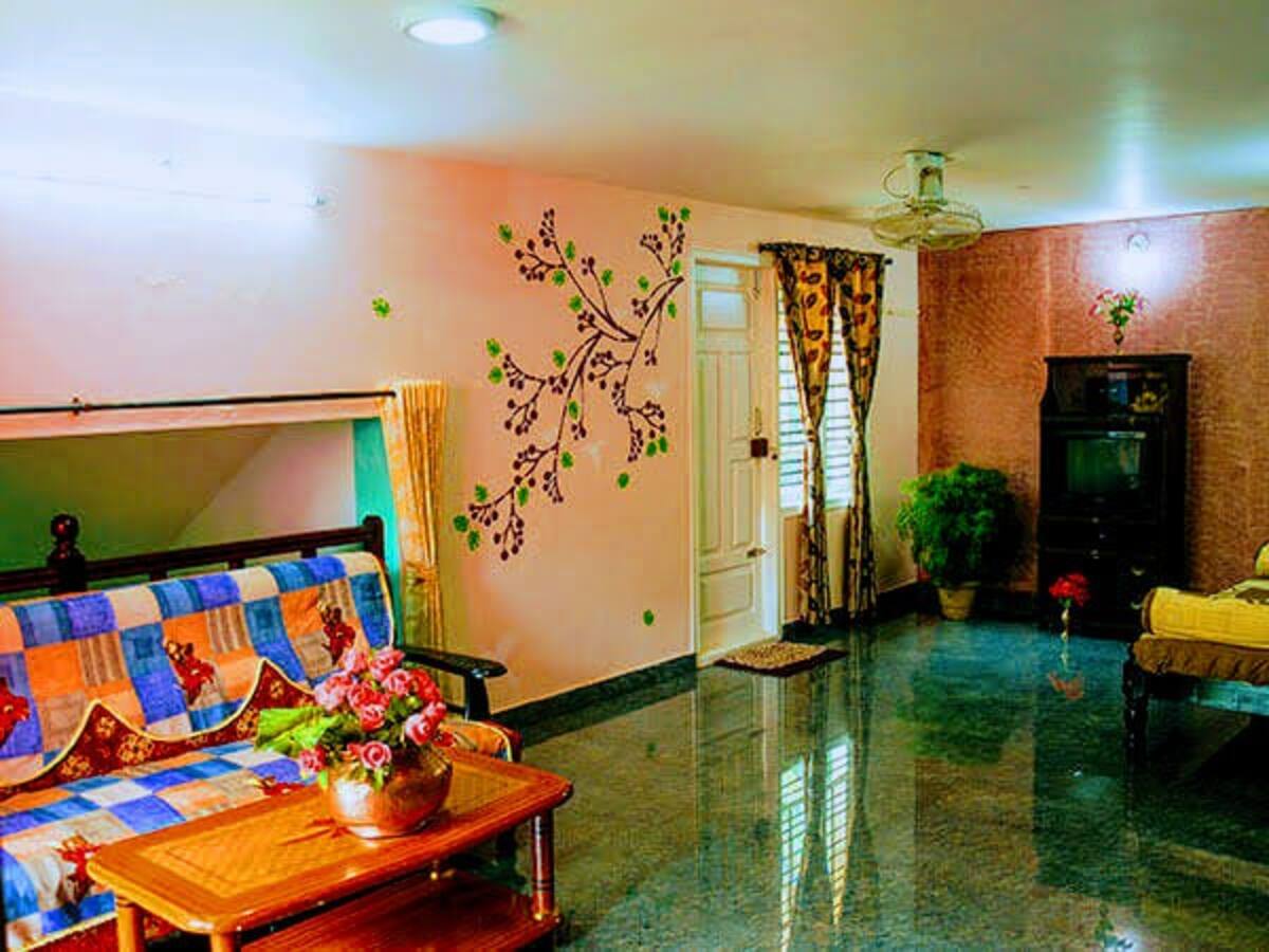 Staghorn Chikmagalur - Tap to explore photos