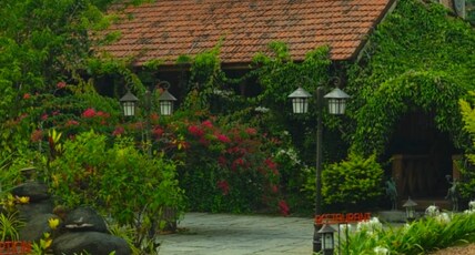 BARSATI RANCHES Room Type - Valley View Room