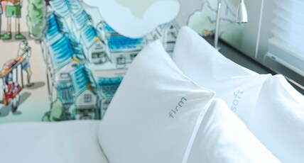  Garner Hotel Osaka Honmachi Midosuji Room Type - Standard Room