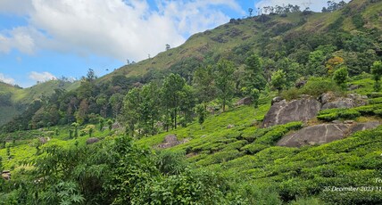 Tea Dale Room Type - Deluxe Double Room Balcony Tea Estate View