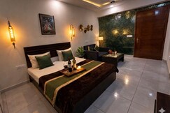 Velvet Wines Studio - Snow Gold