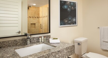 Hotel Indigo SAN DIEGO DEL MAR, an IHG hotel Room Type - 1 King Standard Comm Access Roll Shower
