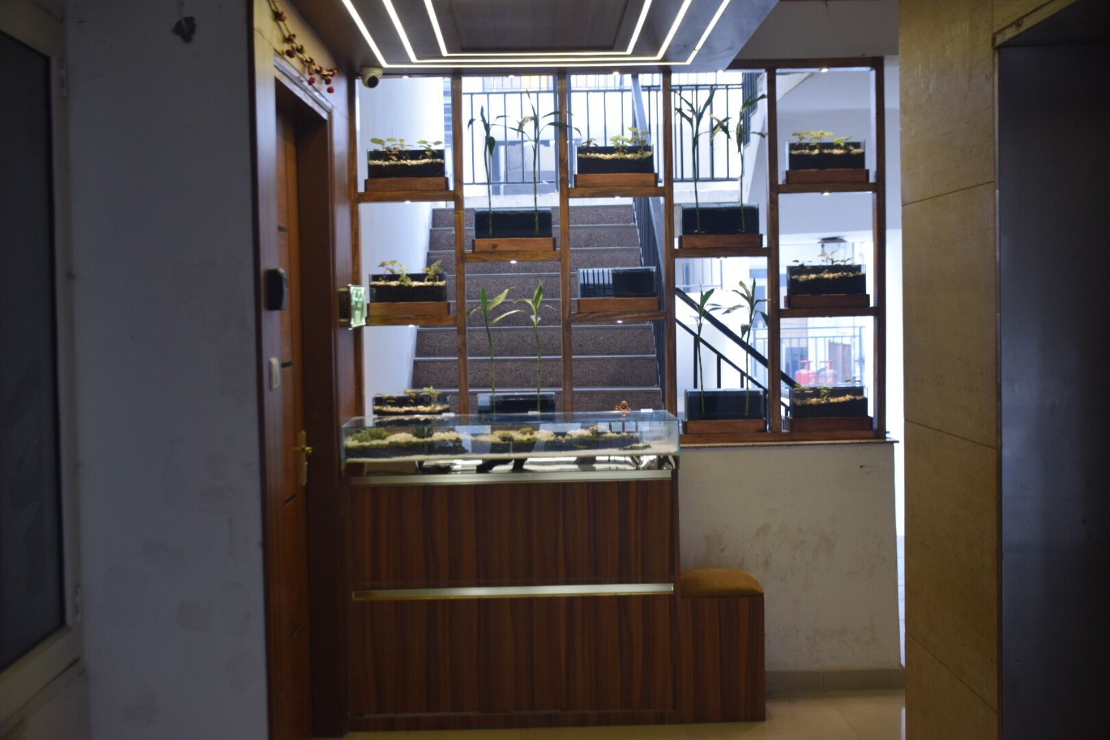 Main gallery