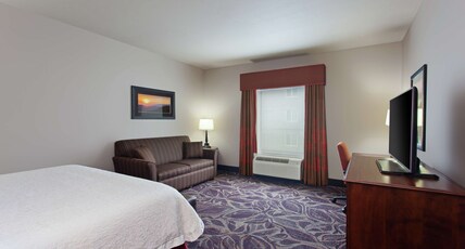 Hampton Inn by Hilton Seattle/Everett Room Type - 1KNG WTRVW SFBD MIC FRG NS