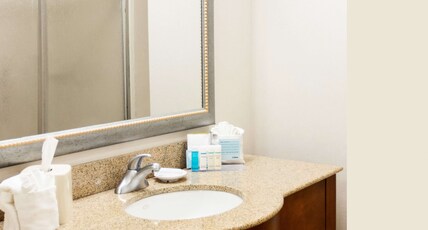 Hampton Inn by Hilton Gloucester Room Type - 1KNG MOB HEAR ACC W TUB NS