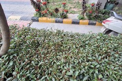 Peaceful & Cozy Retreat in the Heart of the City