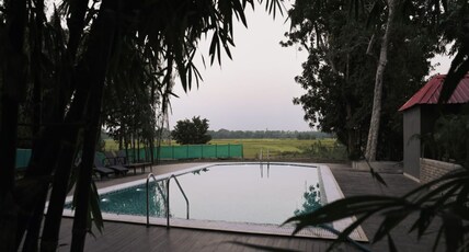 Irroi Kaziranga. Room Type - Deluxe Twin Room