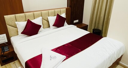 HOTEL PARK INN Room Type - Deluxe room