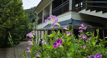 Nidra Homestay Room Type - Nidra Homestay