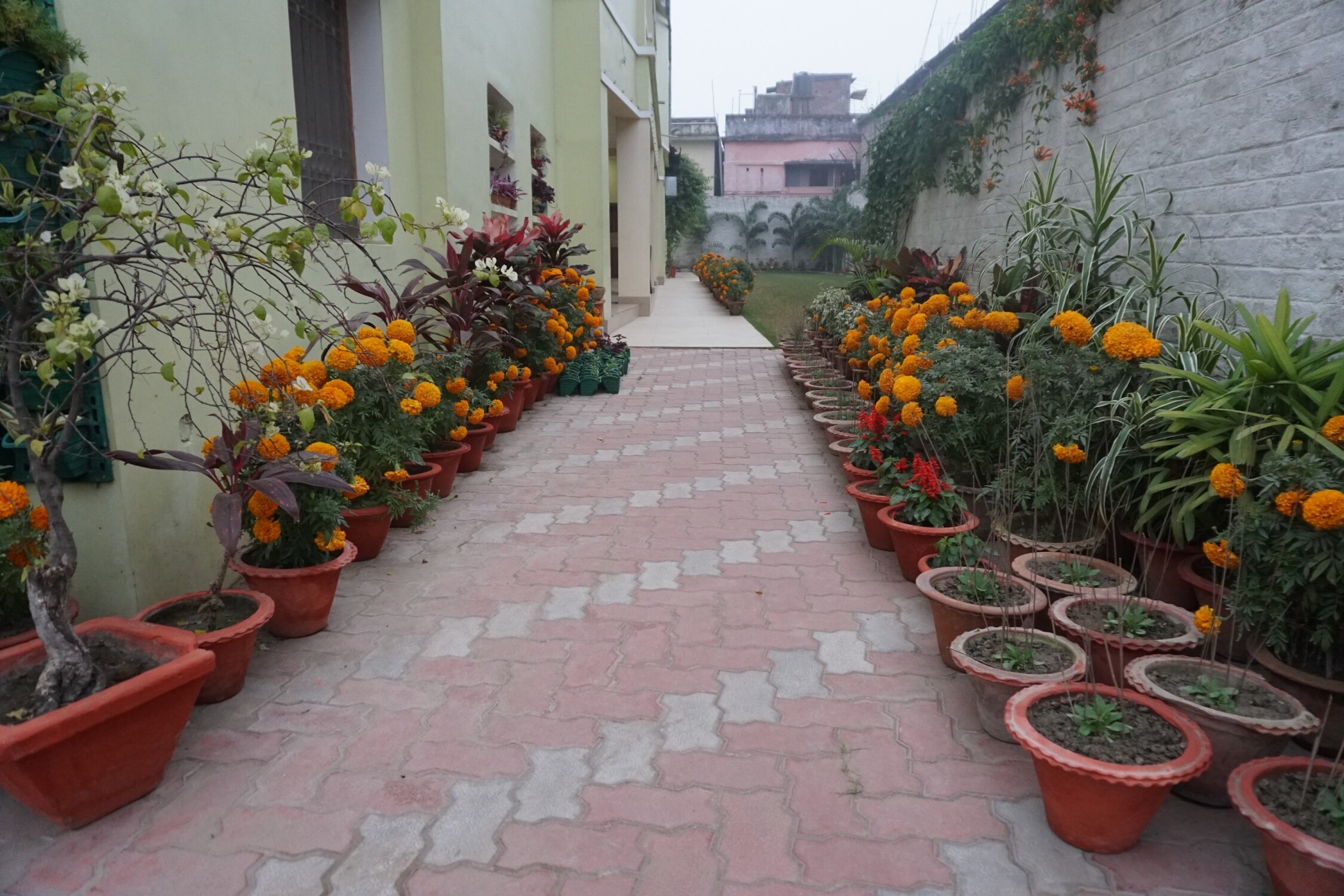 HOTEL SATKAR - Tap to explore photos