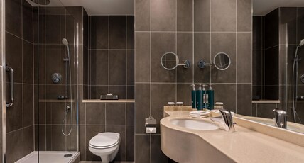 Hilton Dublin Room Type - QUEEN STANDARD CANAL VIEW