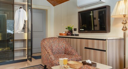FAIZ ORGANIC RESORT Room Type - Deluxe Mountain View Room with Balcony