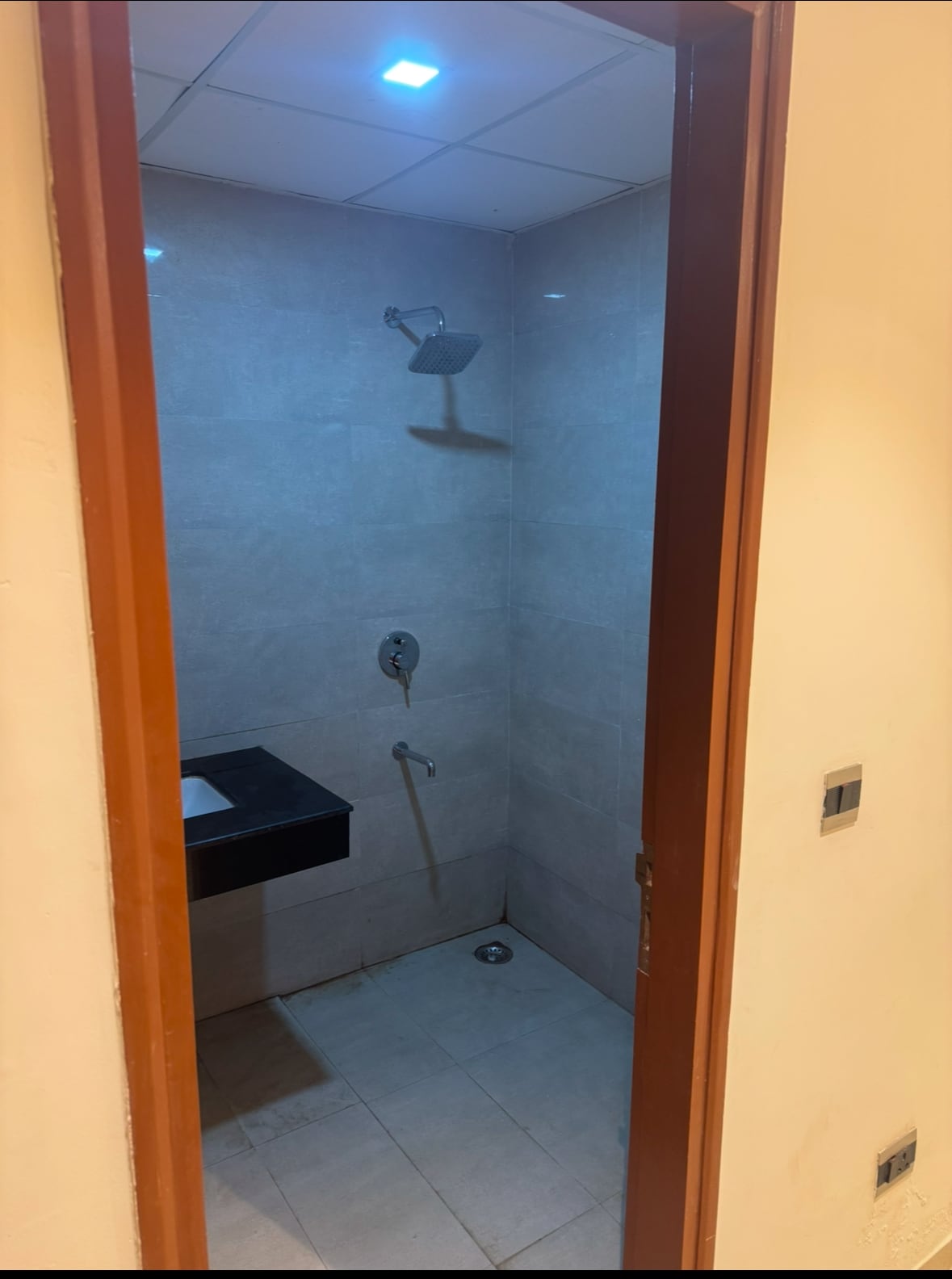 Crossandra Omaxe 1 - Tap to explore photos