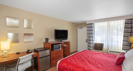 Ramada by Wyndham Venice Hotel Venezia Room Type - 1 King Bed, Courtyard View, Non-Smoking
