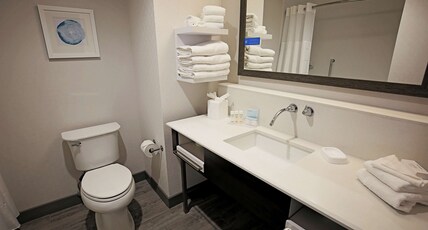 Hampton Inn & Suites Asheville Biltmore Area, NC Room Type - 2 QUEENS W  FRIDGE MICROWV