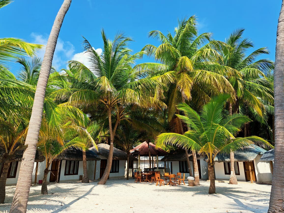 Coral paradise Resort - Tap to explore photos