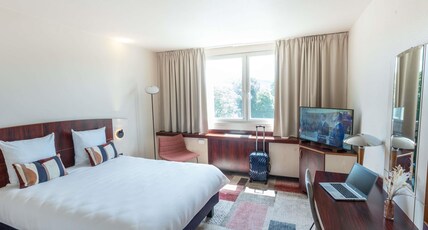 Mercure Besancon Parc Micaud Room Type - Superior Room with 1 double bed