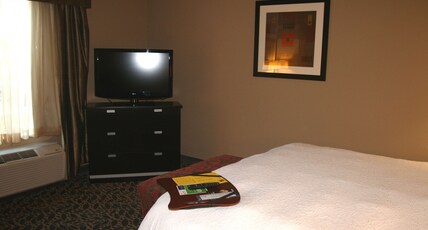 Hampton Inn and Suites Bay City, Texas Room Type - 1 KING BED NONSMOKING