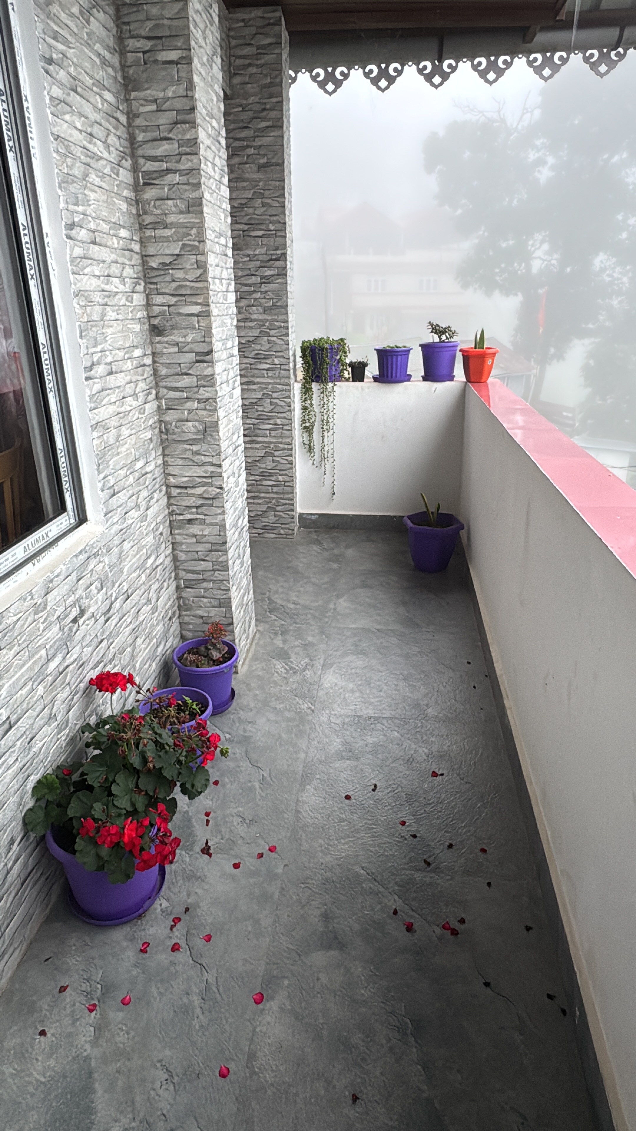 Sungava Homestay - Tap to explore photos