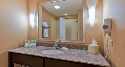 Holiday Inn Express & Suites Alpine Southeast Room Type - 1 King Bed 1 Bedroom Suite