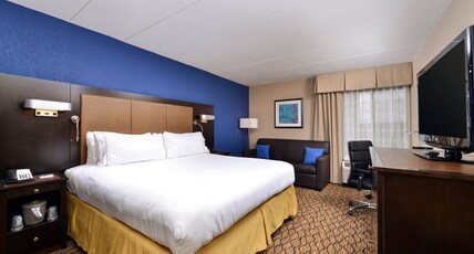 Holiday Inn Express HUNT VALLEY Room Type - 1 King Standard Mobil Access Roll Shwr