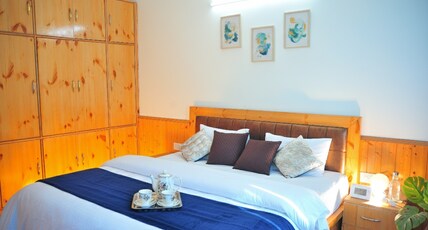 Nature's Retreat Room Type - Premium room
