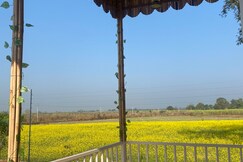 Natures nest  Experience the pulse of the wild