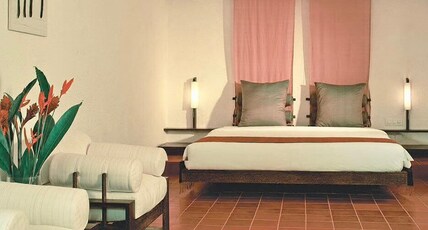 Rainforest Room Type - Premium Room