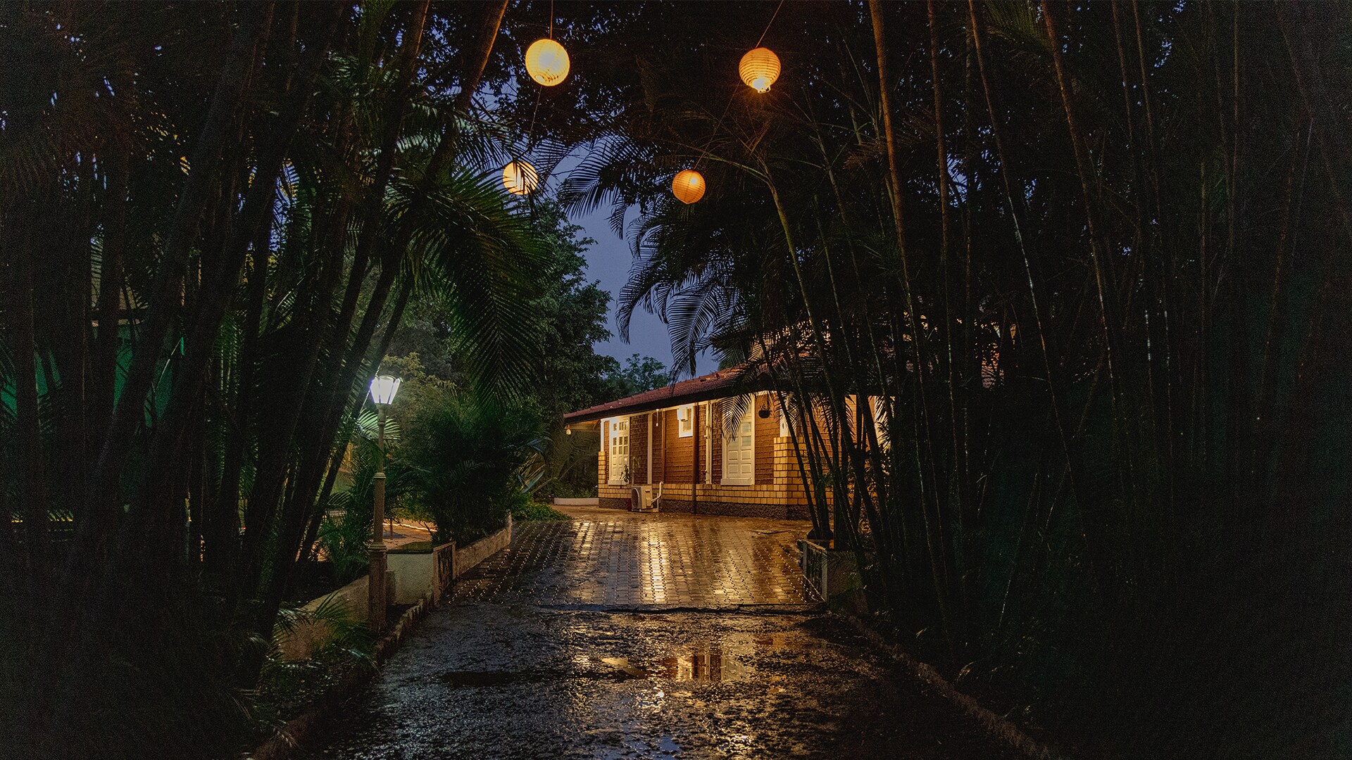 White Bridge - Tap to explore photos