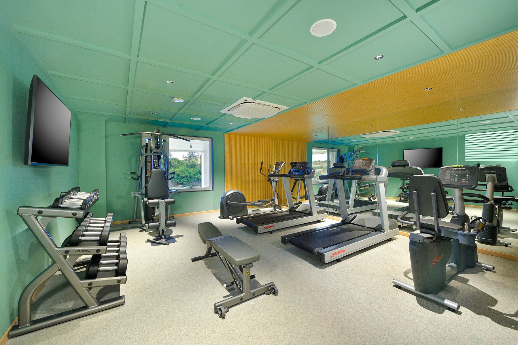 Main gallery