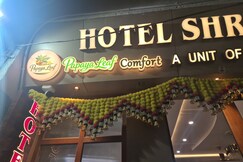 Papaya Leaf Comfort Nathdwara