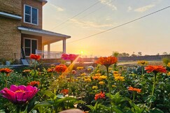 Yellow Farm