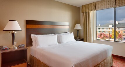 Holiday Inn Express & Suites Orem-North Provo, an IHG Hotel Room Type - 1 King 1 Bedroom Suite Kitchen