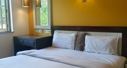 Hotel COCO GOA Room Type - Deluxe Room - Garden View with Balcony