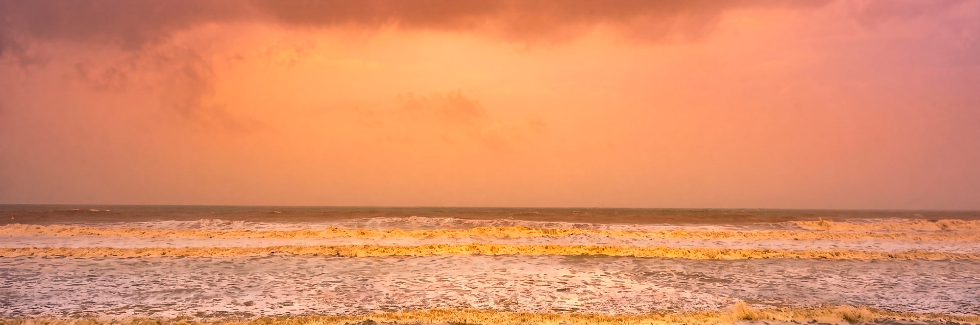 Ginger Somnath - Tap to explore photos