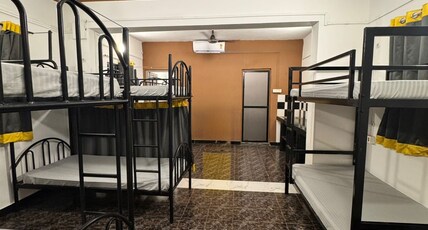 Lost Paradise A Social Hostel Room Type - Common Dormitory