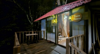 Da Orchid Ecotel Room Type - Tree House