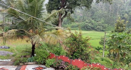 Coorg Green hill homestay Room Type - Coorg Green hill homestay