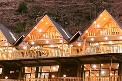Western Tragopan Tirthan Valley