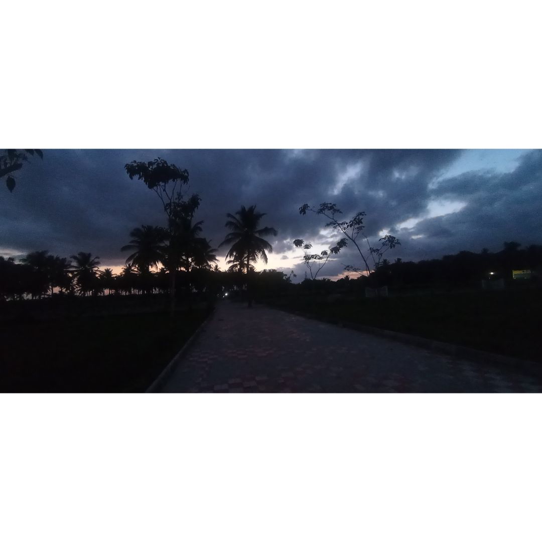 NANDI FARM RESORT - Tap to explore photos